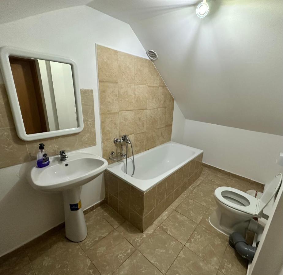 Georgiana Apartments 2 Timisoara Luaran gambar