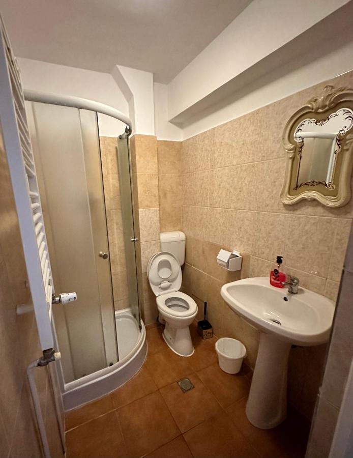 Georgiana Apartments 2 Timisoara Luaran gambar