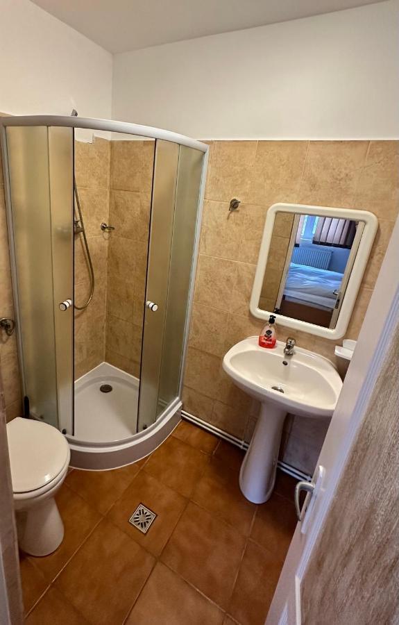 Georgiana Apartments 2 Timisoara Luaran gambar